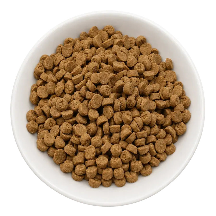 Beef embossed disc dry pet food product photo