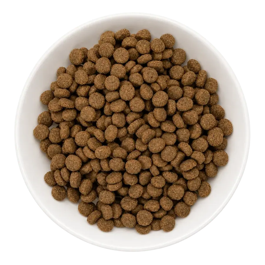 Chicken and blueberry disc dry pet food product photo