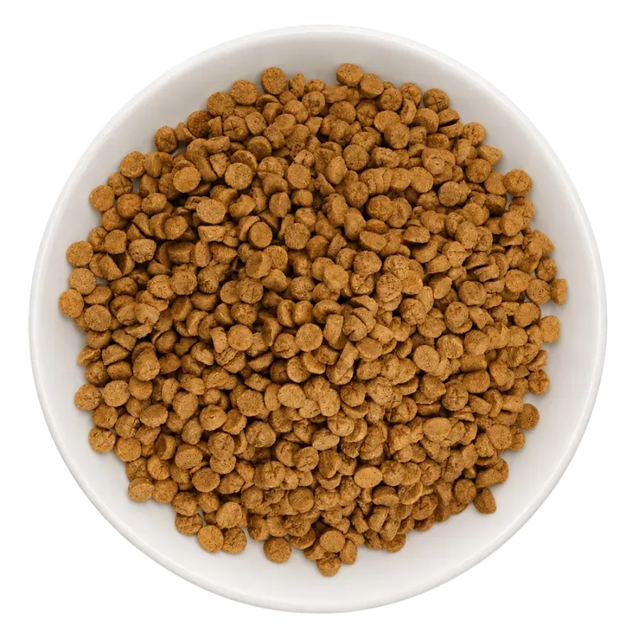 Chicken round dry pet food product photo