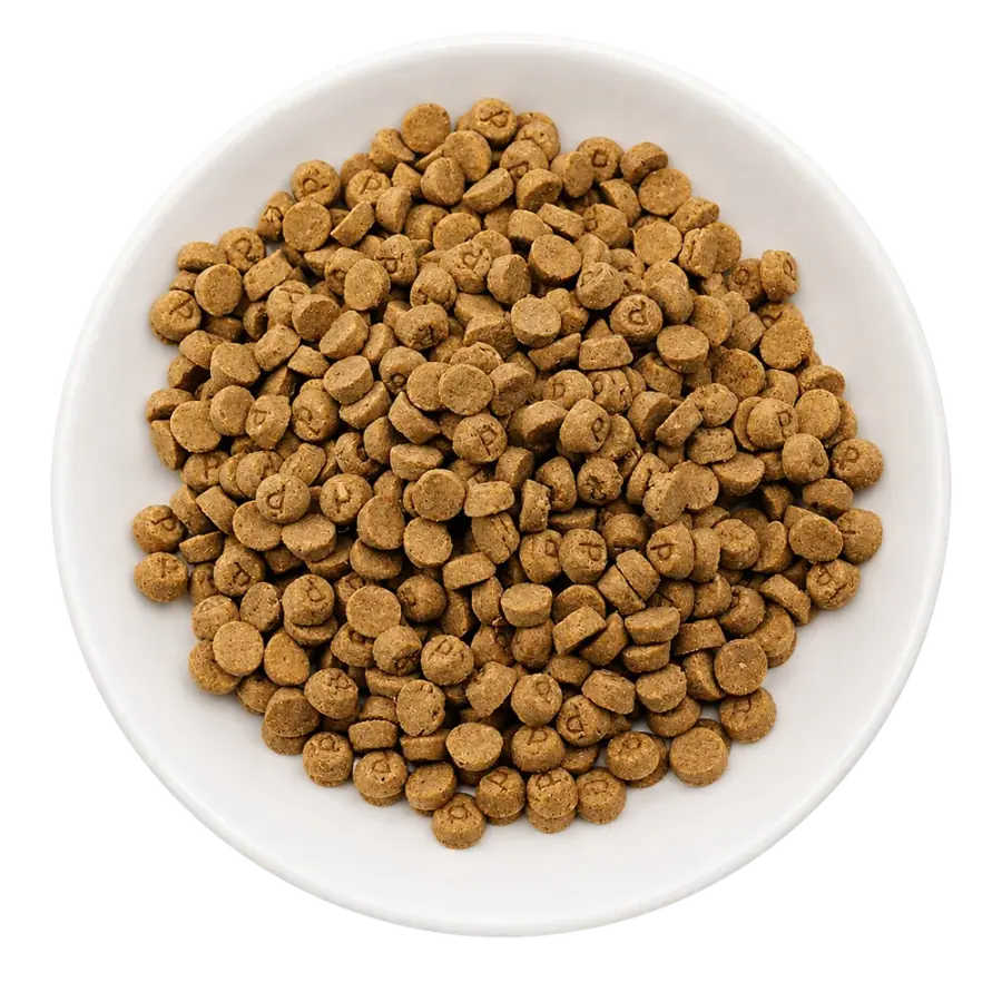 Chicken stamped disc dry pet food product photo