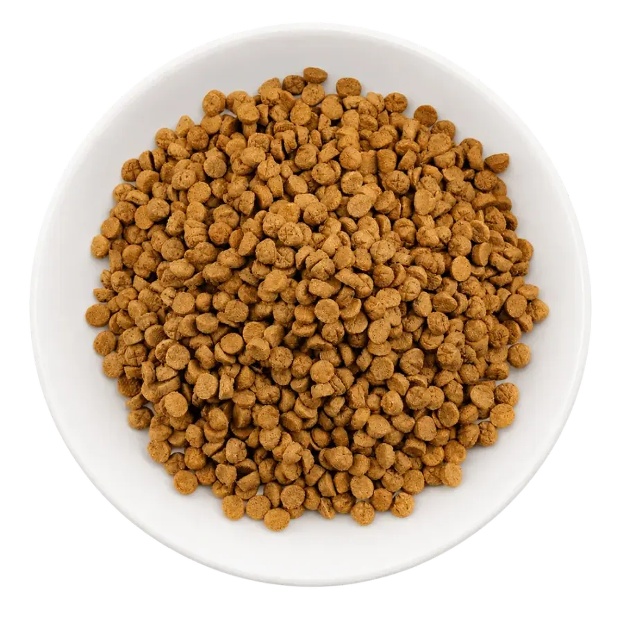 Chicken, duck and beef button dry pet food product photo